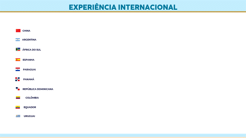 Experiência Internacional